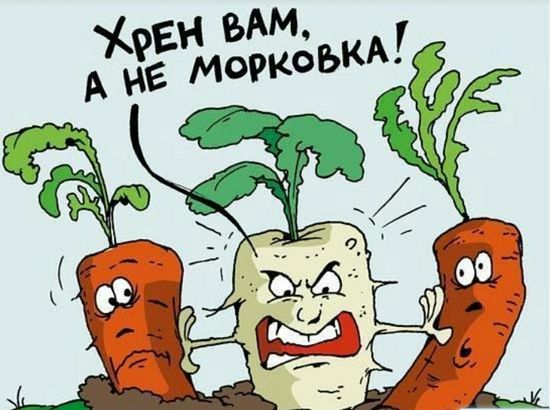 Вкусный корень хрена для похудения