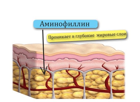 Аминофиллин