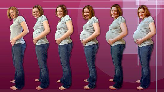 Лишний вес и беременность, таблица веса